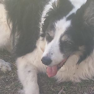 Meet your Posher, Michele